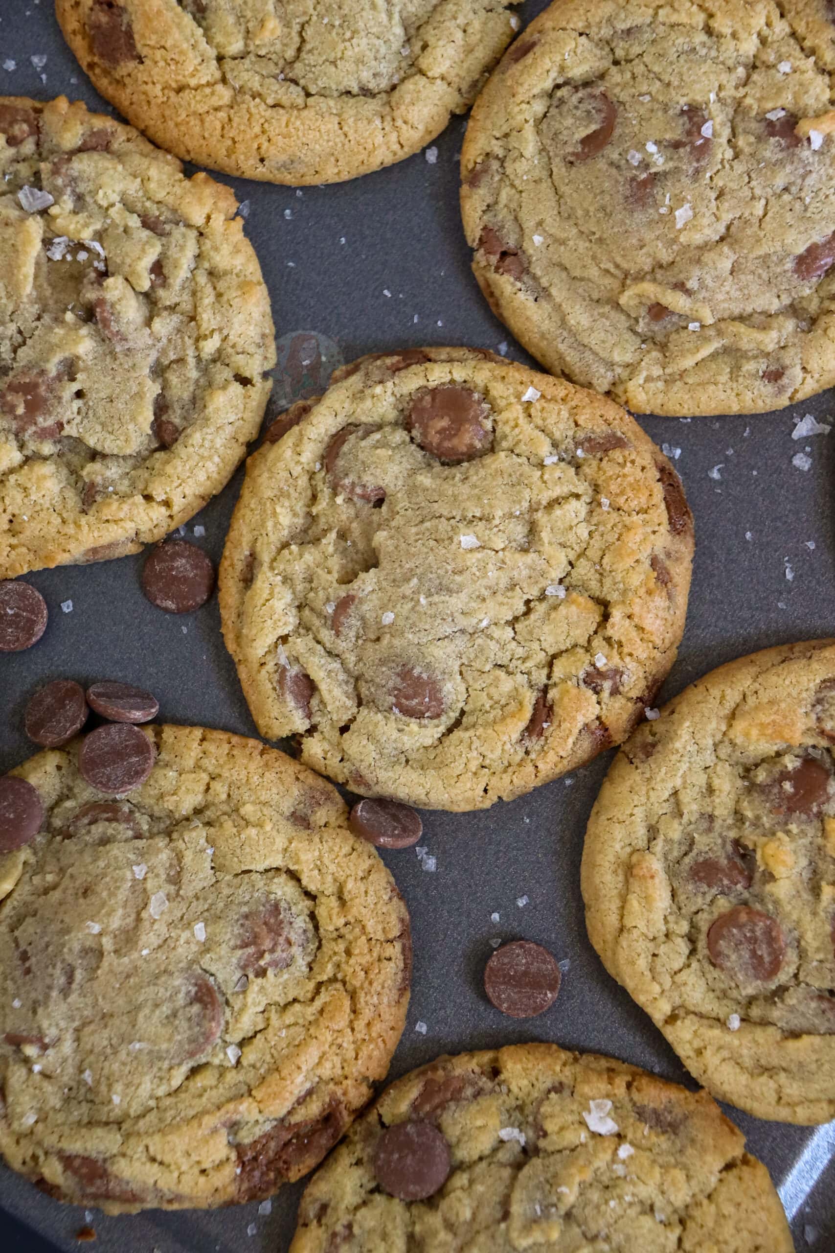 Milk Chocolate & Sea Salt Cookies! Jane's Patisserie