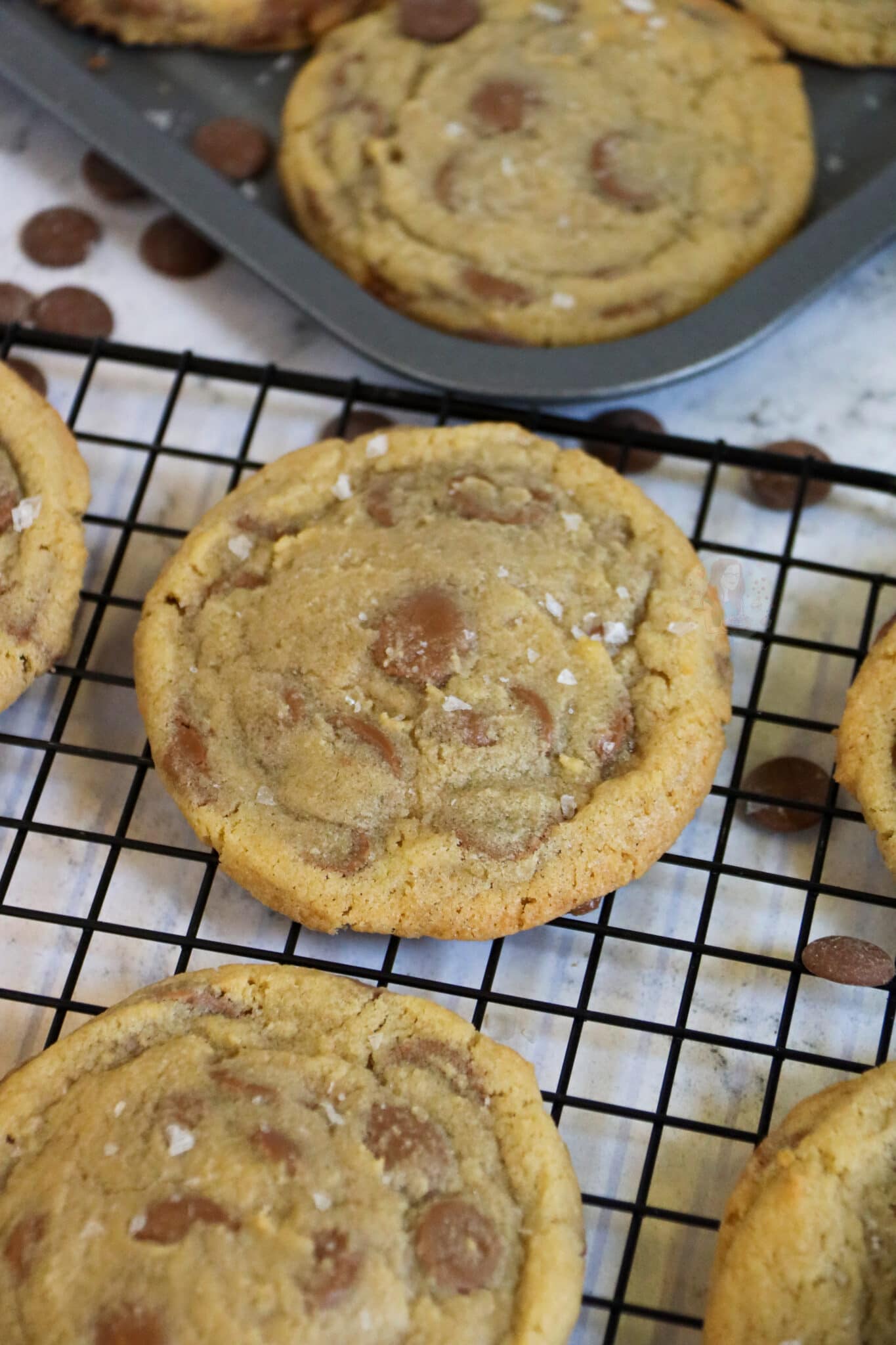 Milk Chocolate & Sea Salt Cookies! Jane's Patisserie
