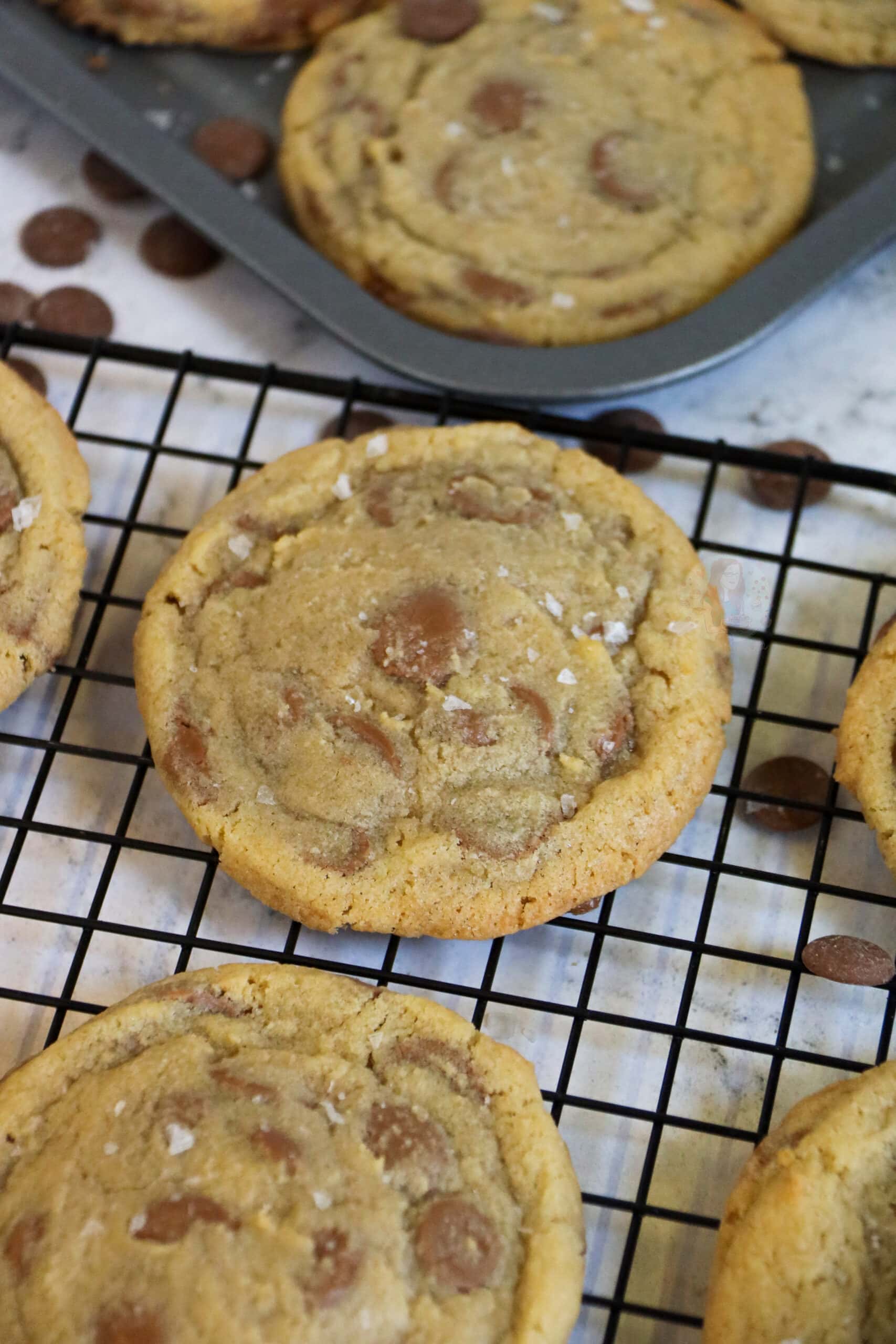 Milk Chocolate & Sea Salt Cookies! Jane's Patisserie