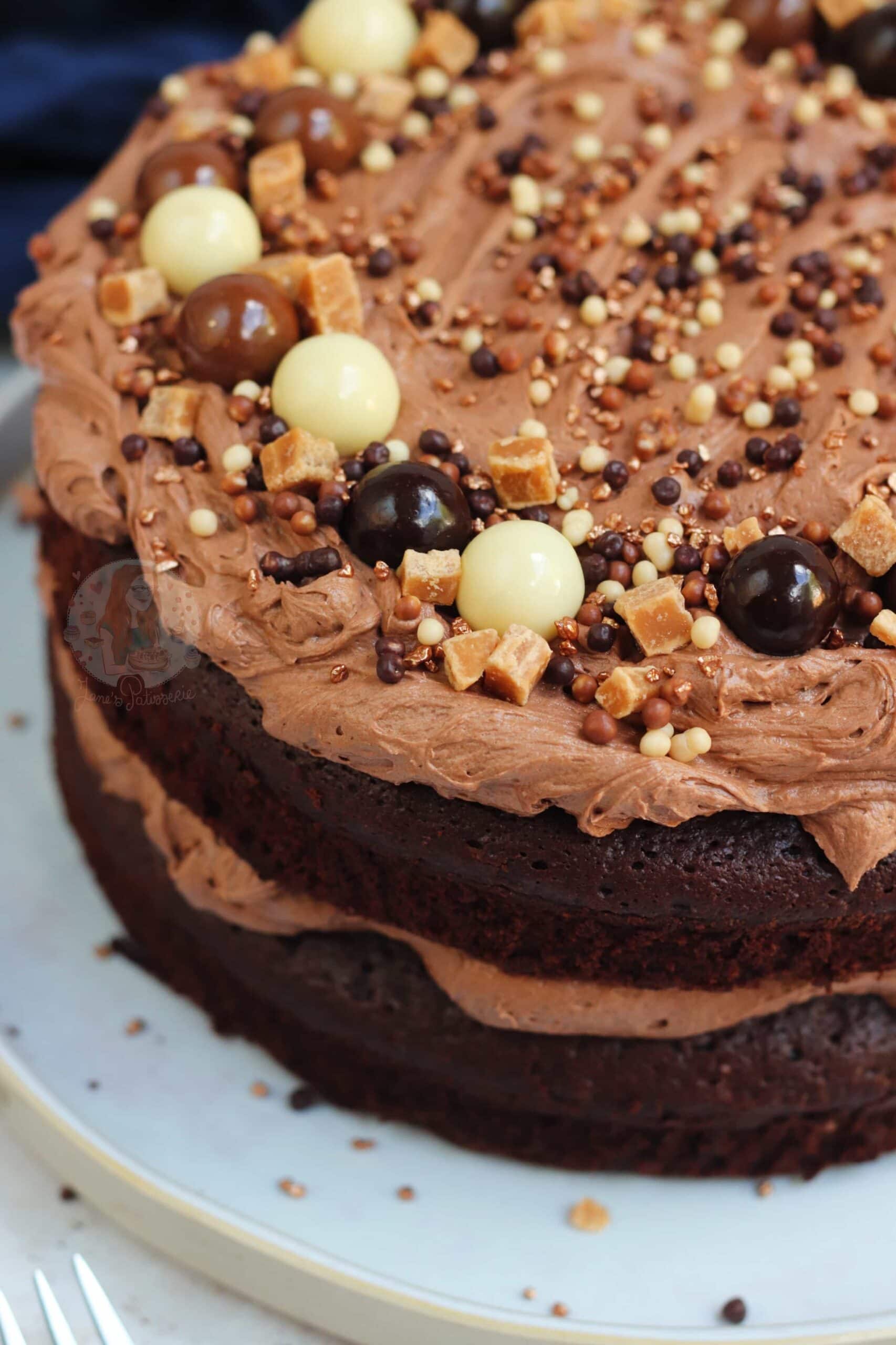 Chocolate Fudge Cake with the BEST Chocolate Frosting ever! Jane's Patisserie