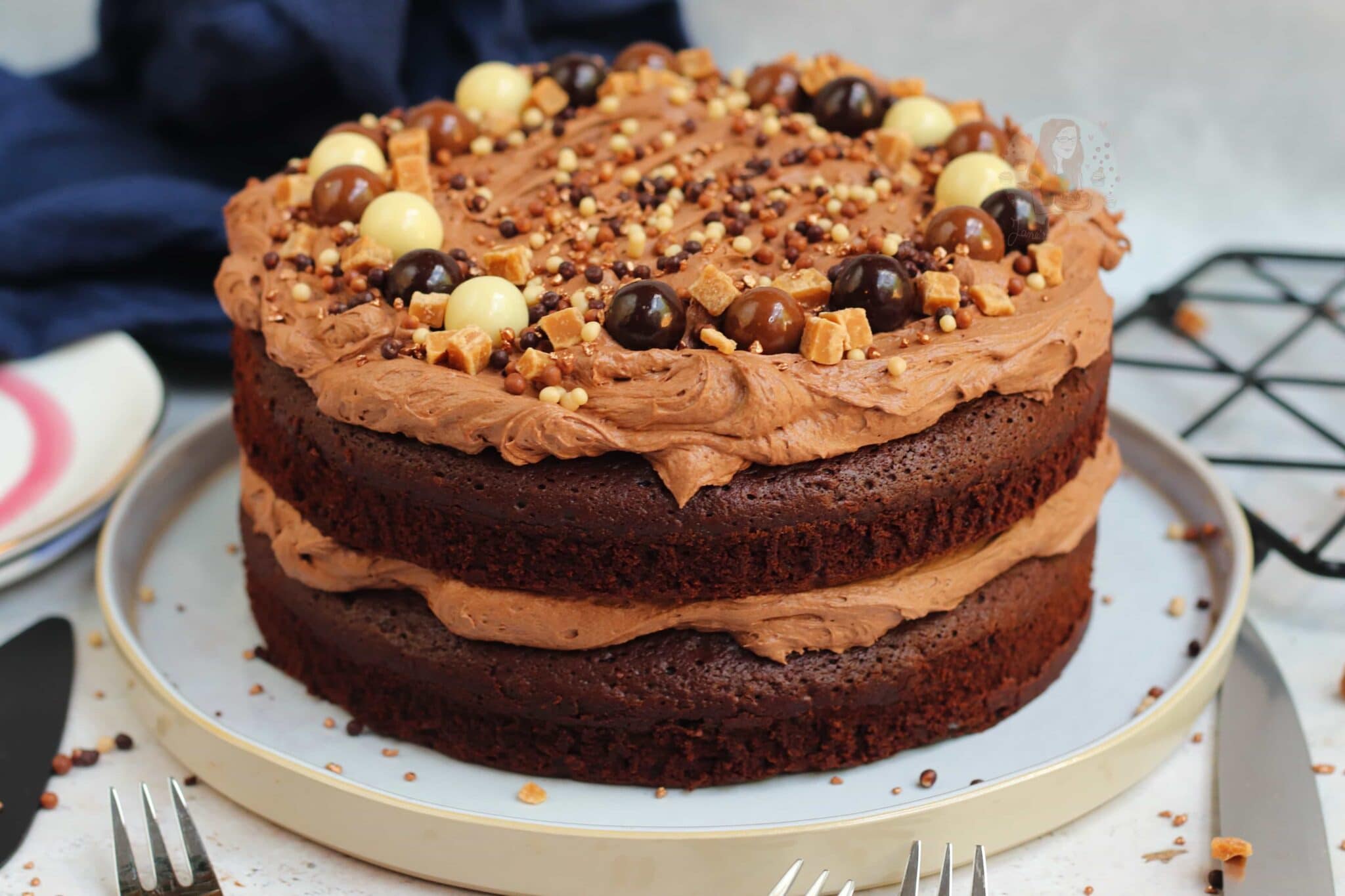 Chocolate Fudge Cake with the BEST Chocolate Frosting ever! Jane's