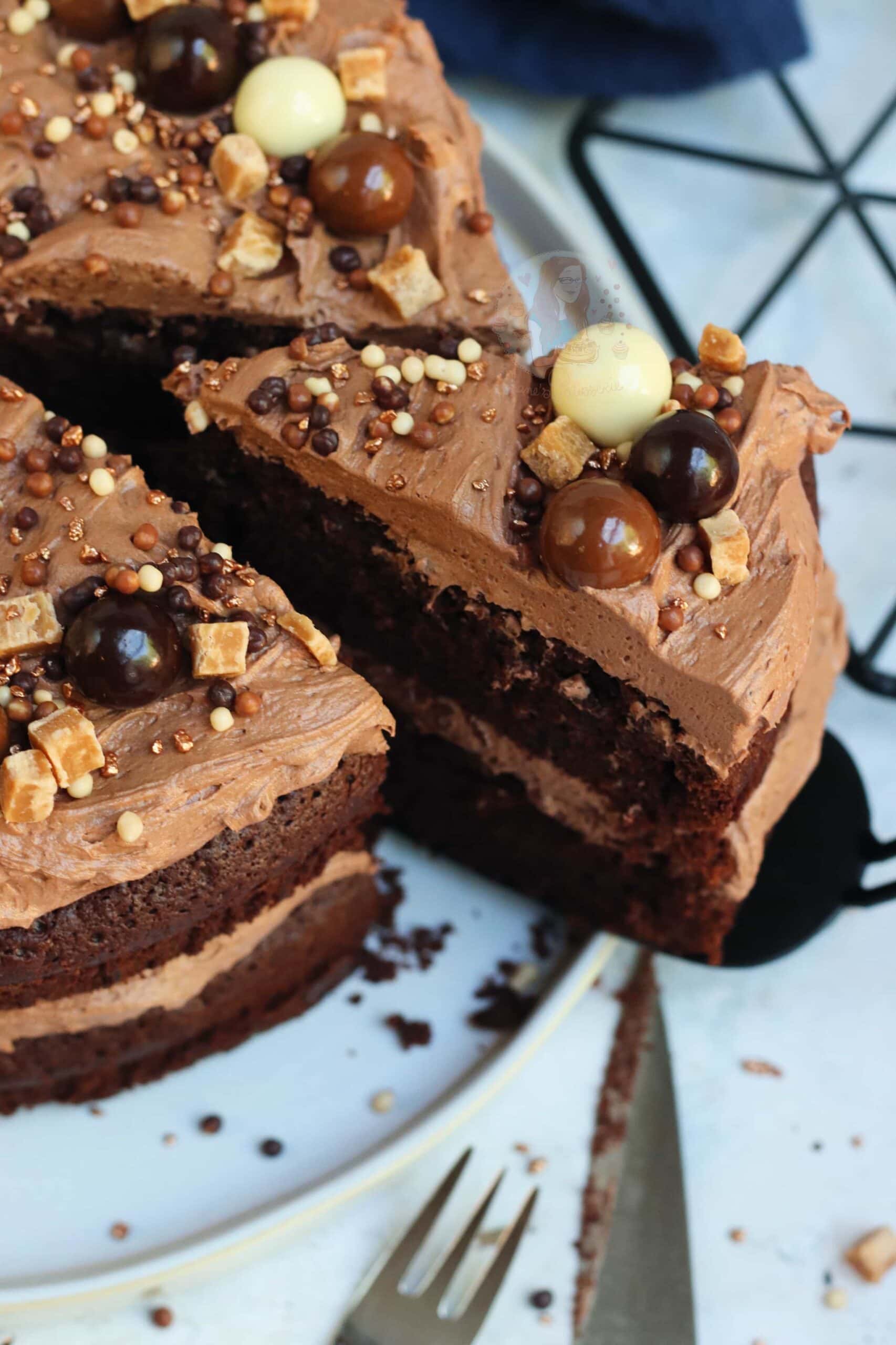 Chocolate Fudge Cake with the BEST Chocolate Frosting ever! Jane's