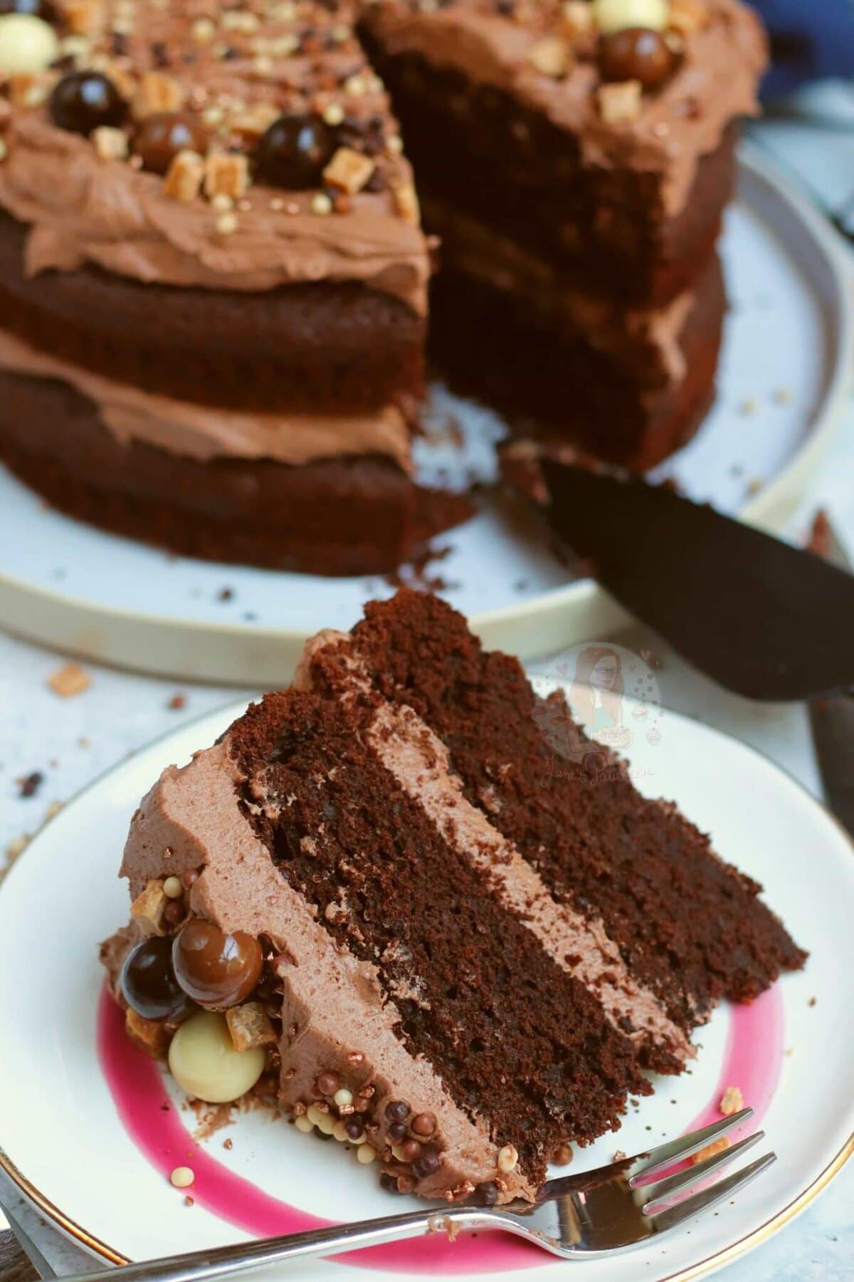 Chocolate Fudge Cake with the BEST Chocolate Frosting ever! Jane's