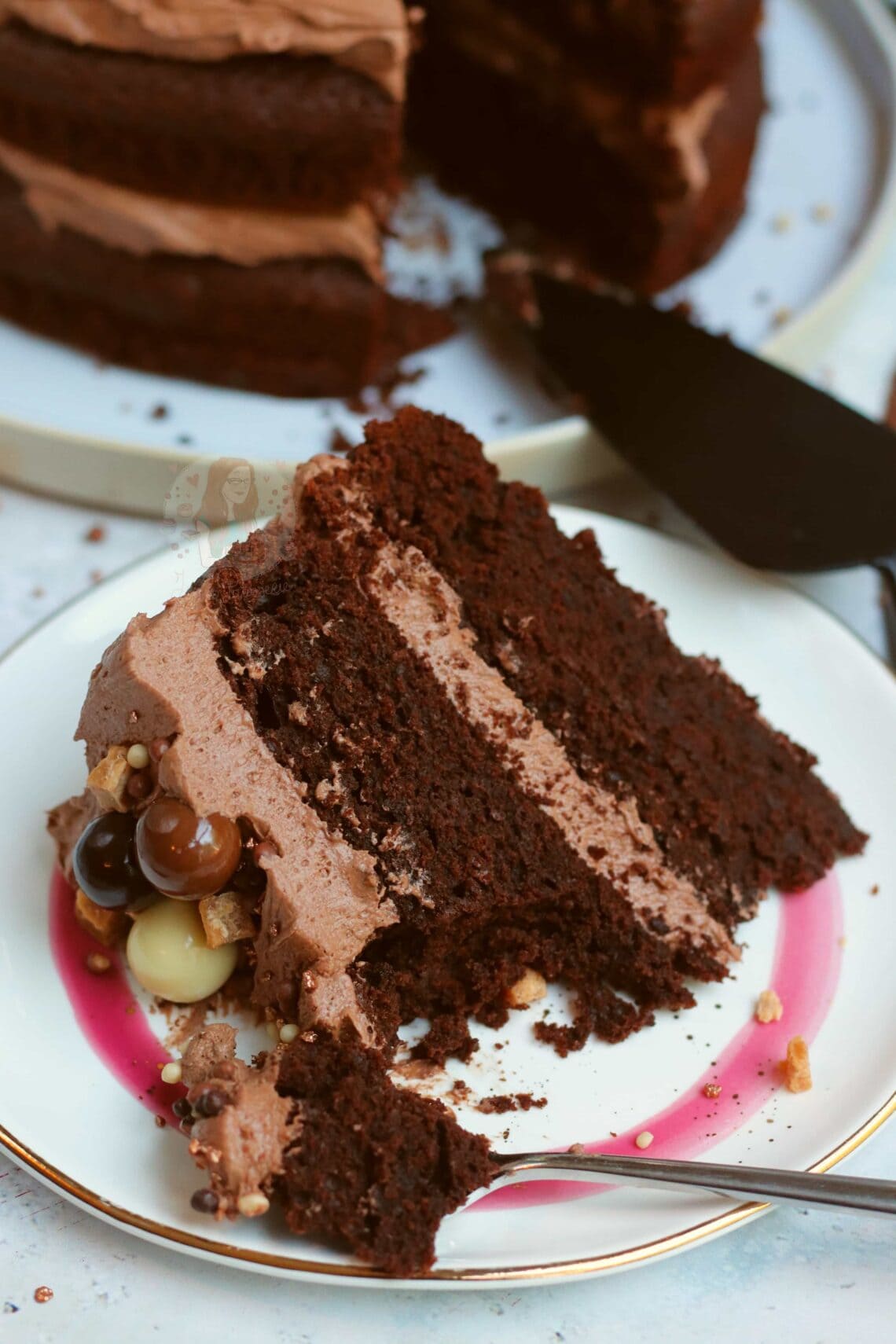 Chocolate Fudge Cake with the BEST Chocolate Frosting ever! Jane's