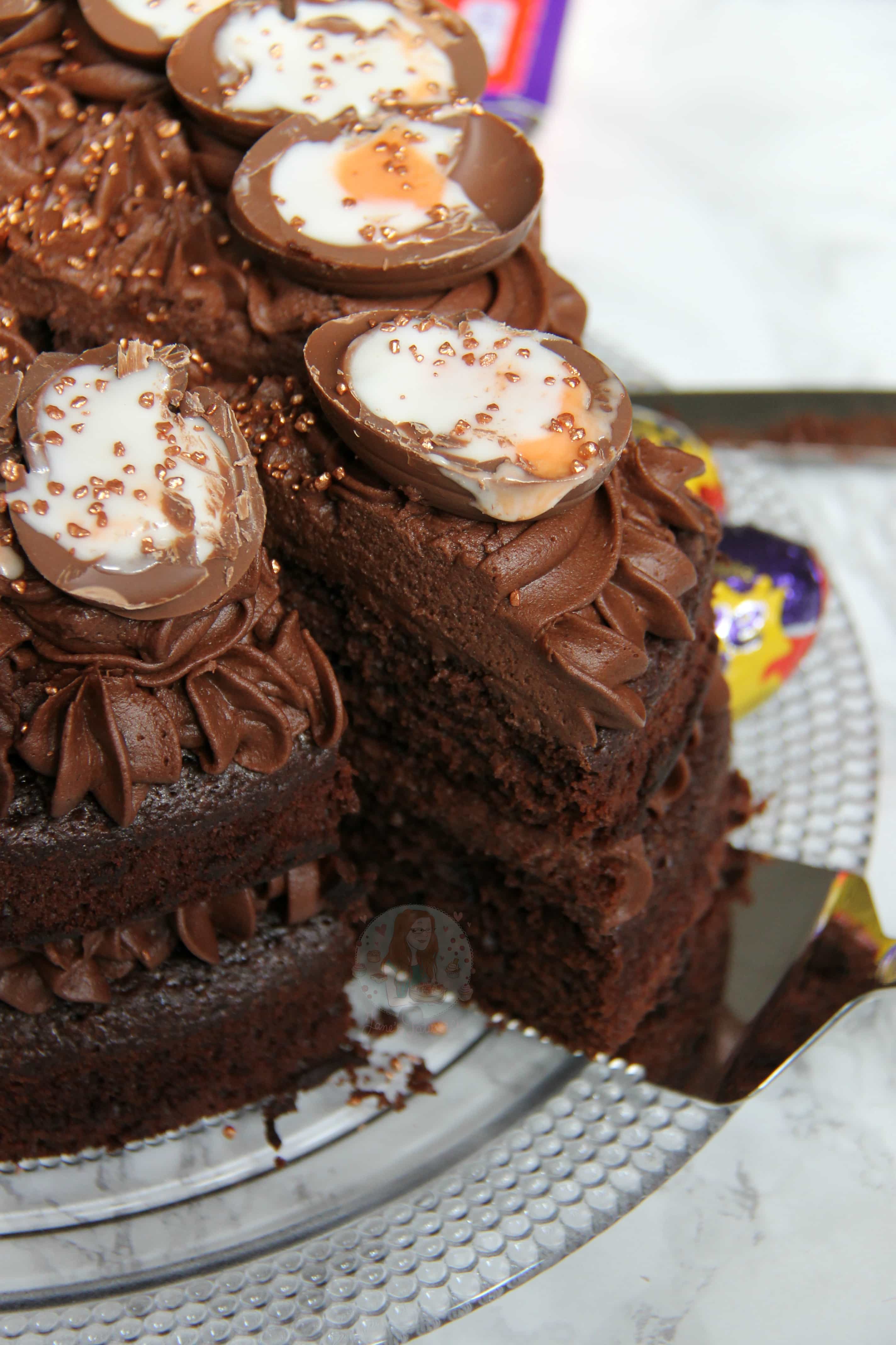 Chocolate Fudge Cake with the BEST Chocolate Frosting ever! - Jane&amp;#39;s ...