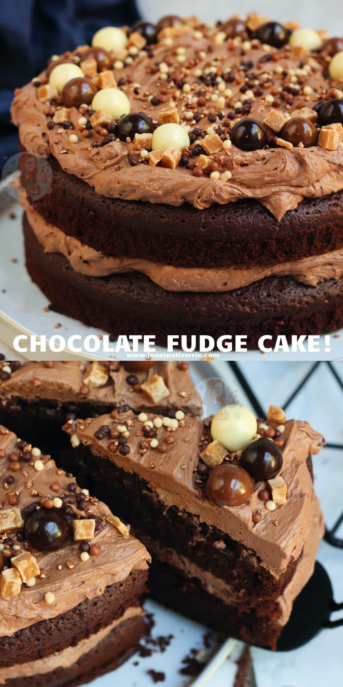 Chocolate Fudge Cake with the BEST Chocolate Frosting ever! Jane's