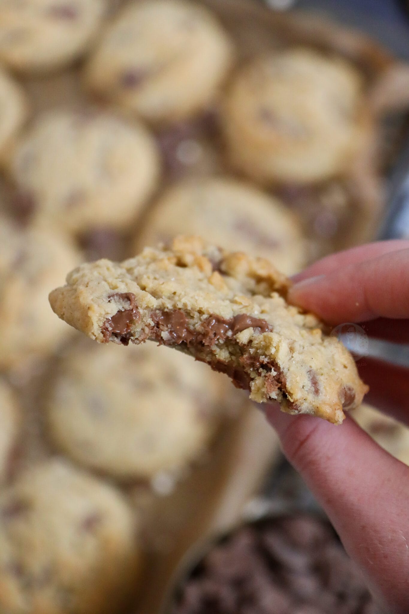 Chocolate Oat Cookies! Jane's Patisserie