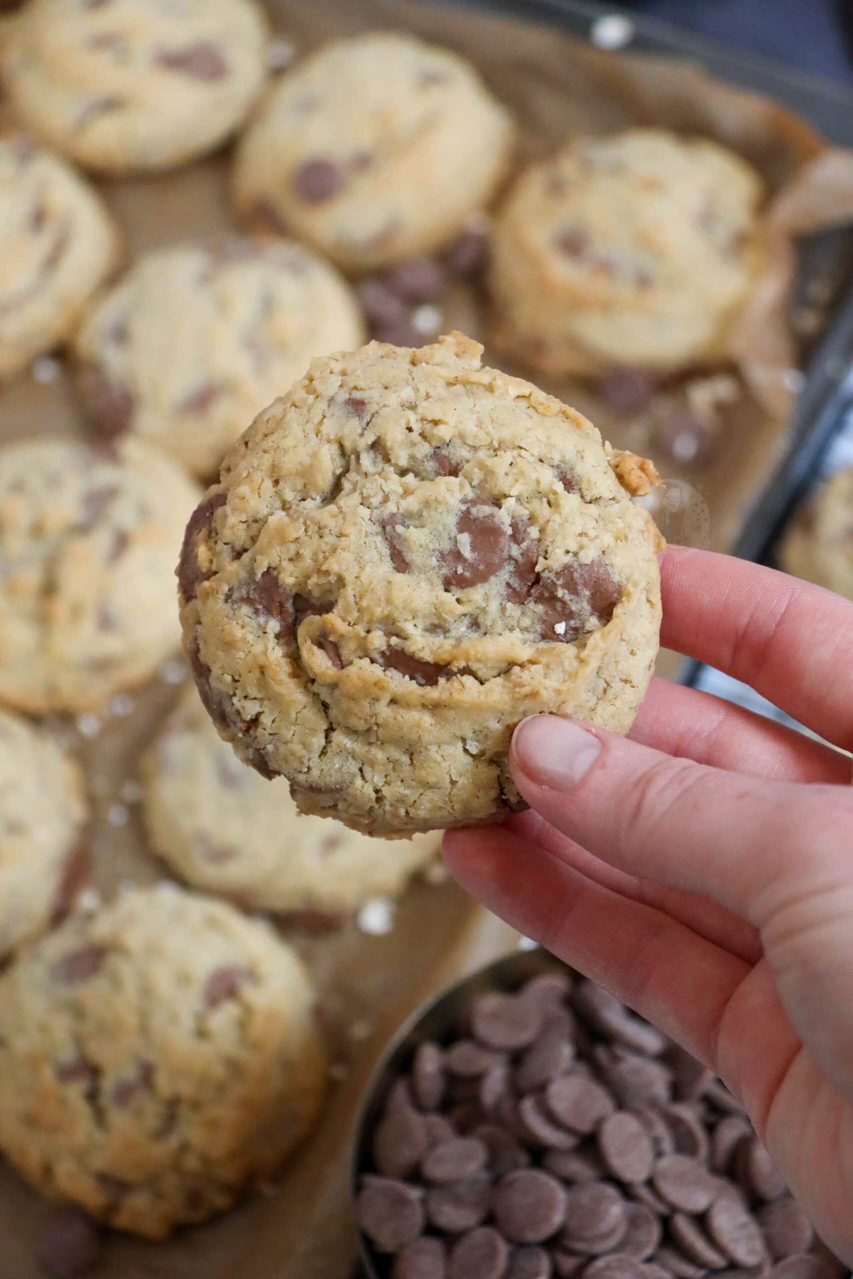 Chocolate Oat Cookies! Jane's Patisserie