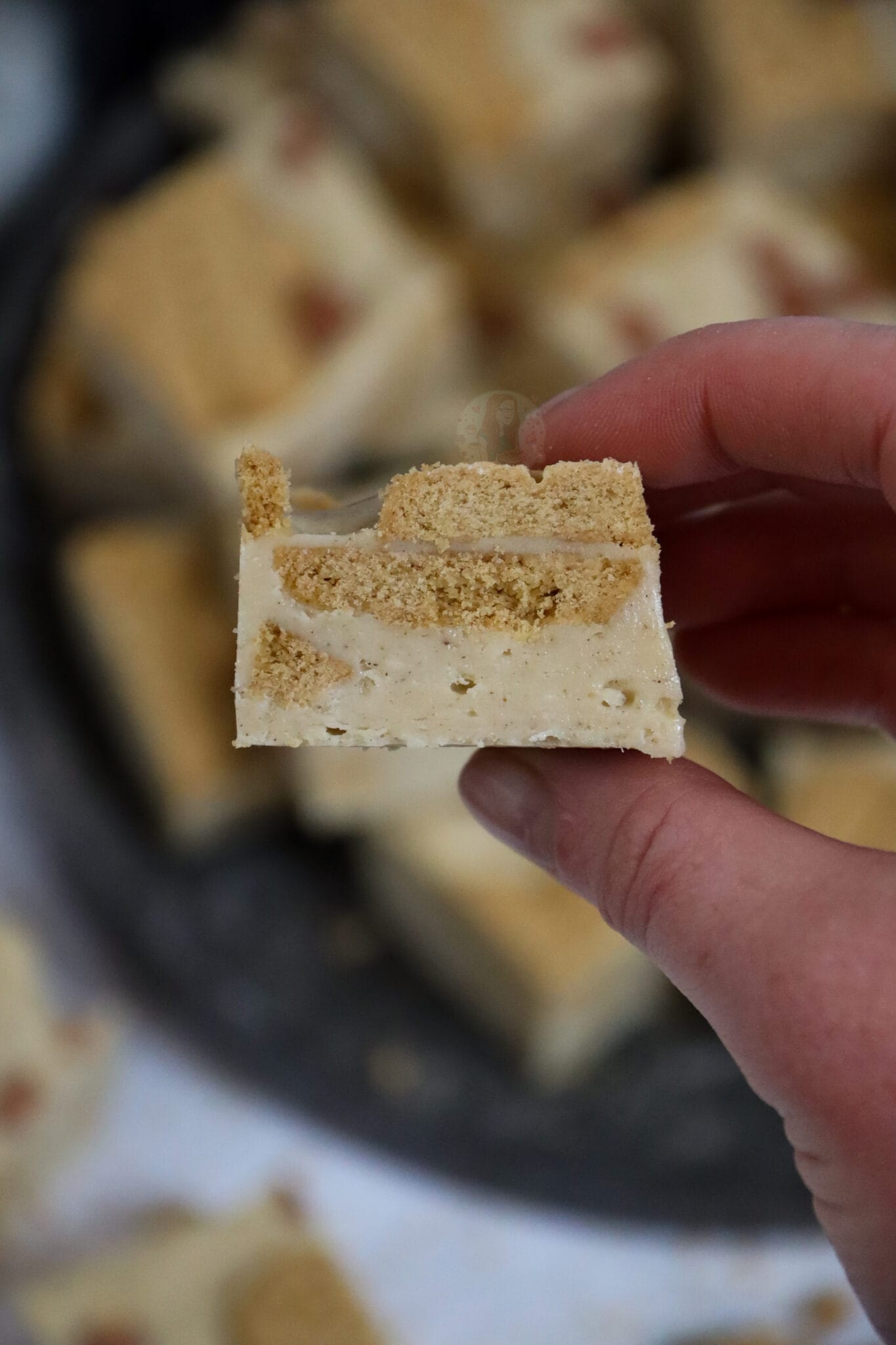 Gingerbread Fudge! Jane's Patisserie