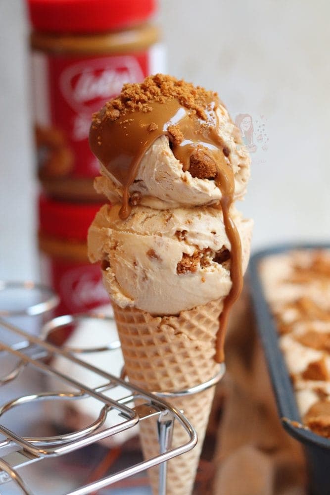 REVIEW: Lotus Biscoff Ice Cream - The Impulsive Buy