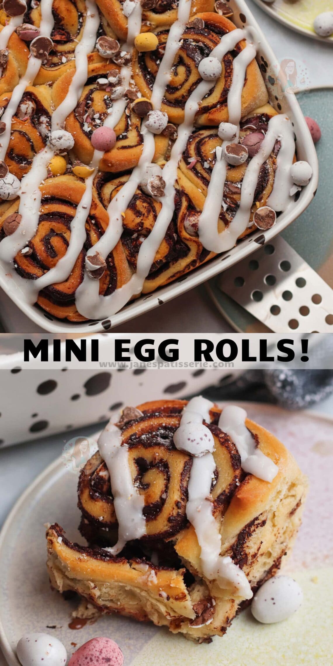 Mini Egg Rolls! Jane's Patisserie