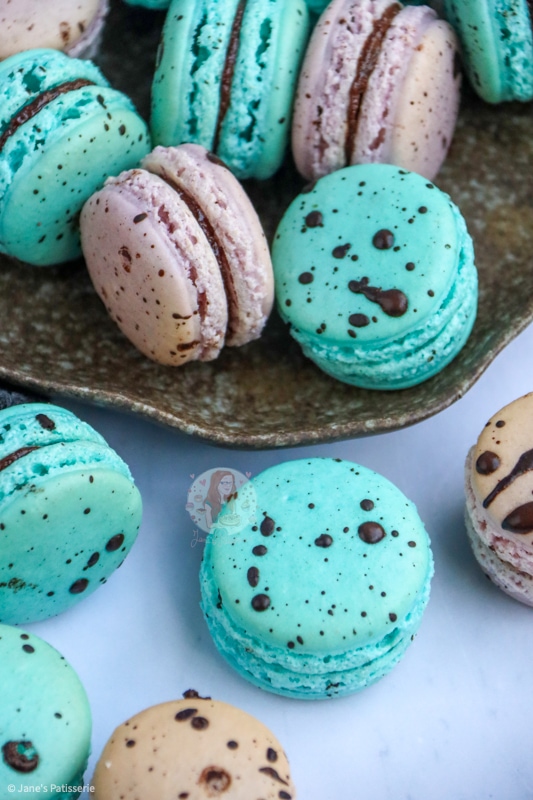 Easter Macarons! - Jane's Patisserie