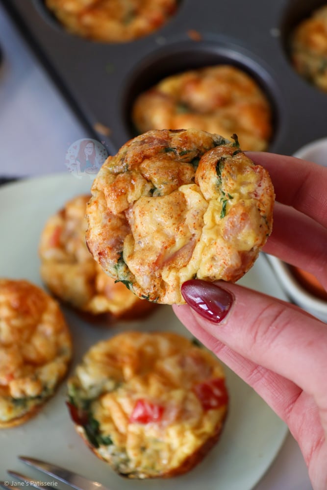 Egg Bites!-image