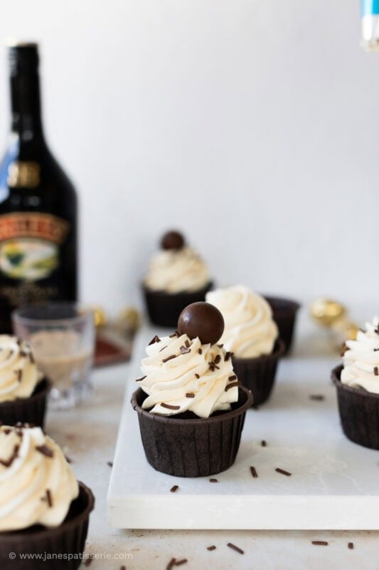 Decorated and undecorated baileys cupcakes with a bottle of baileys