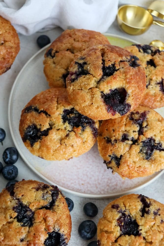 Blueberry Muffins