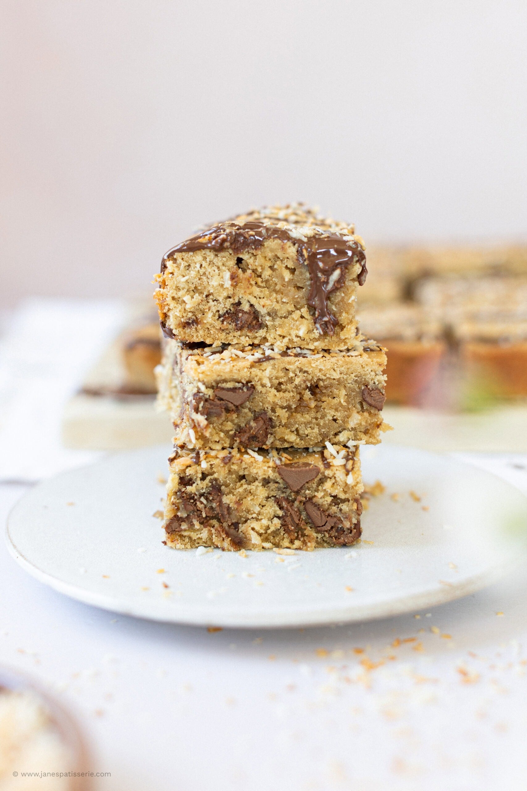 Coconut Chocolate Chip Blondies!