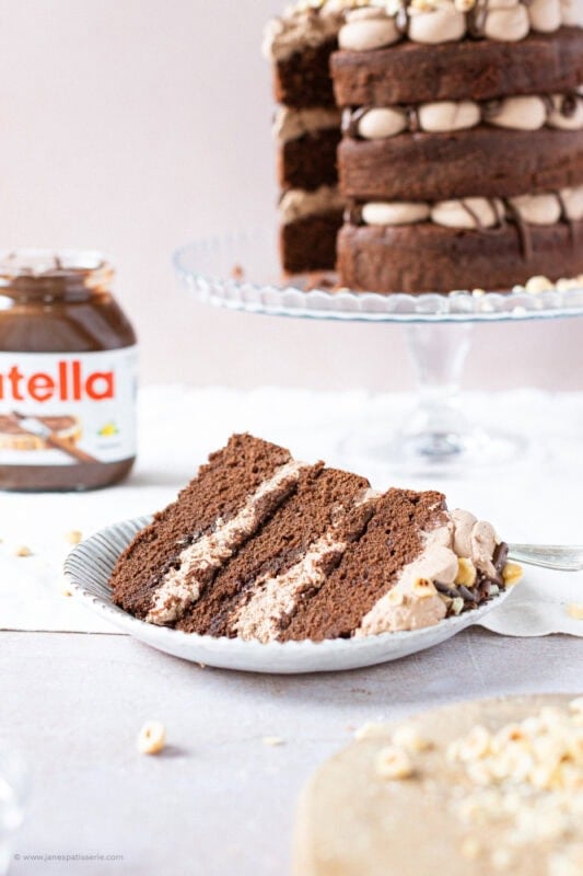 A slice of Nutella Cake on a white plate