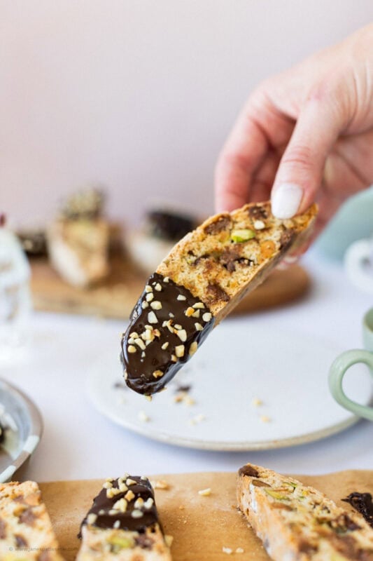 A hand holding a single Pistachio Hazelnut Chocolate Biscotti