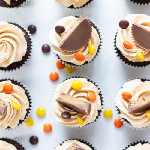 Rows of Reese's Peanut Butter Cupcakes