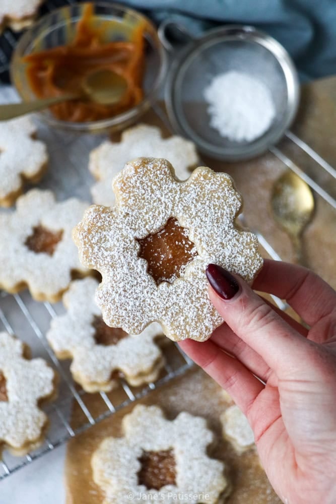 Festive Sandwich Cookies!