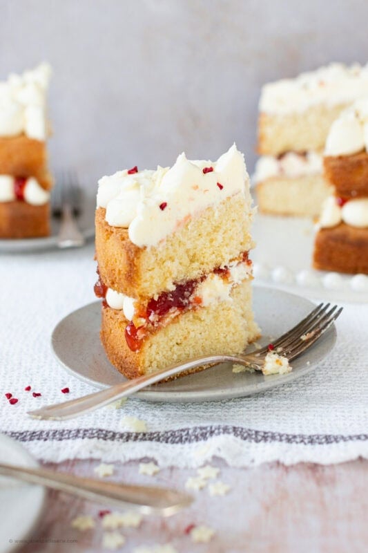 A bite missing from a slice of Vanilla Cake - back to basics